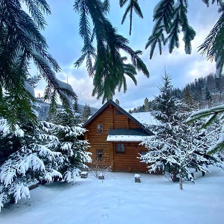 Villa Na Gori Slavske Exterior foto